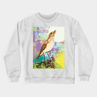 Veery Crewneck Sweatshirt